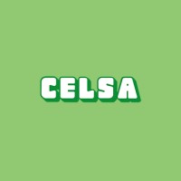 Celsa SRL Logo