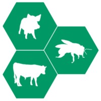 Honey Rock Farms Logo