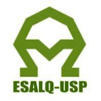 Núcleo de Agroecologia Nheengatu Logo