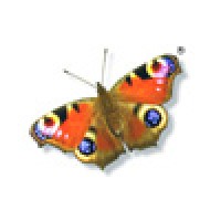 Butterflies Healthcare Logo