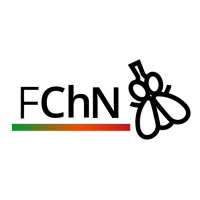 Fundación Chile Nudge Logo