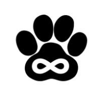 Connect Wolf Logo
