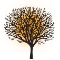 Springtree Media Group Logo