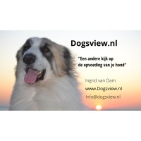 Dogsview.nl Logo
