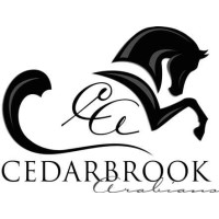 Cedarbrook Arabians, LLC Logo