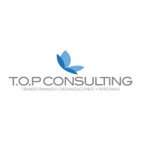 TOP Consulting Logo