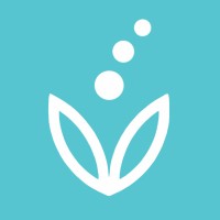 Novulis Logo