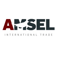 AMSEL Logo