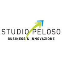 Studio Peloso & Associati Logo