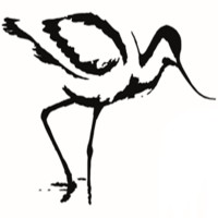 Avocet Civil Engineering Consultancy Logo