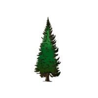 Evergreen Window Cleaning, LLC Logo