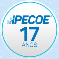 IPECOE - Instituto de Pesquisa e Consultoria Empresarial Logo