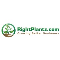 Rightplantz.com Logo