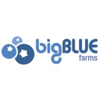 Big Blue Farms Logo