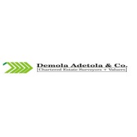 Demola Adetola & Co Logo