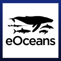 eOceans Research and Consulting Inc. Logo