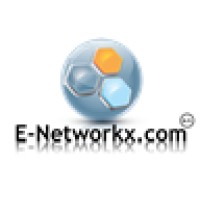 E-Networkx Consulting Group Logo