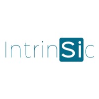 Intrinsic Logo