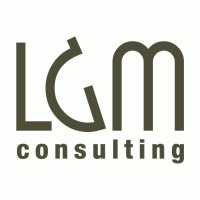 LGM consulting srl Logo