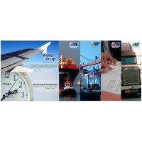 MASTER GROUP INTERNATIONAL Logo