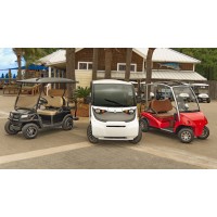 Electric Cart Company Logo