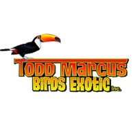 Todd Marcus Birds Exotic Inc. Logo