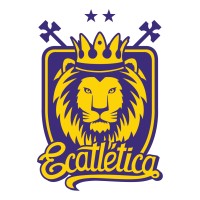 Associação Atlética Acadêmica Lupe Cotrim Logo