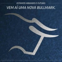 BullMark Financial Group Logo