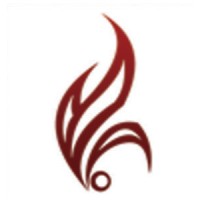 Immortal Phoenix Studios Logo