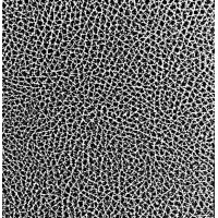 Michigan Texture Technologies, MTT Logo