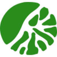 DeepRoot GNU/Linux Logo
