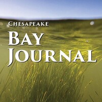 Chesapeake Bay Journal Logo