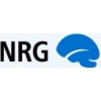 Neuroinformatics Research Group Logo