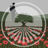 Strong Roots Training Logo