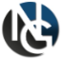The Noonan Group Logo