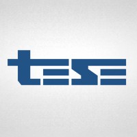 TESE Motores Elétricos Logo