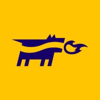 YoungDogs Belgium Logo