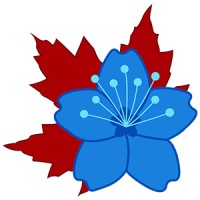AniCa Studios Logo