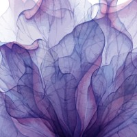 RMT MediaWorks LLC Logo