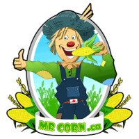 MrCorn ltd Logo