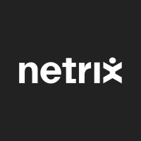Netrix Digital Logo