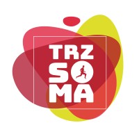 Tríadaz Publicidade & Propaganda Ltda Logo
