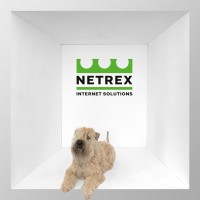 Netrex Internet Solutions Logo