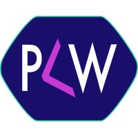 Painless Software Solutions LLC Logo