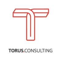 Torus.consulting Logo
