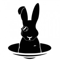 Rabbit Hole Computing Logo