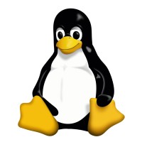 Linux Learning Centre Logo