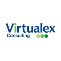 Virtualex Consulting, Inc. Logo