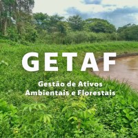 GETAF - Gestão de Ativos Ambientais e Florestais Logo