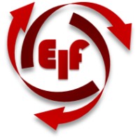 Ergonomic In Focus Logo